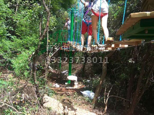 景區(qū)超人氣設施——叢林穿越